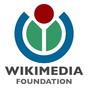 Преподаватель Козьминского в составе Wikimedia Foundation.