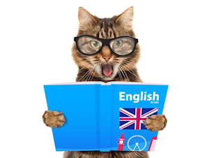 Бесплатные занятия английским языков для школьников - инициатива университета Марии Кюри-Склодовской в Люблине
