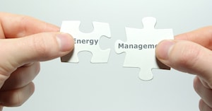Energy Management: магистратура в Вистуле  